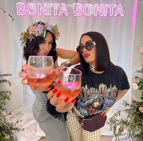 The Bella Twins: