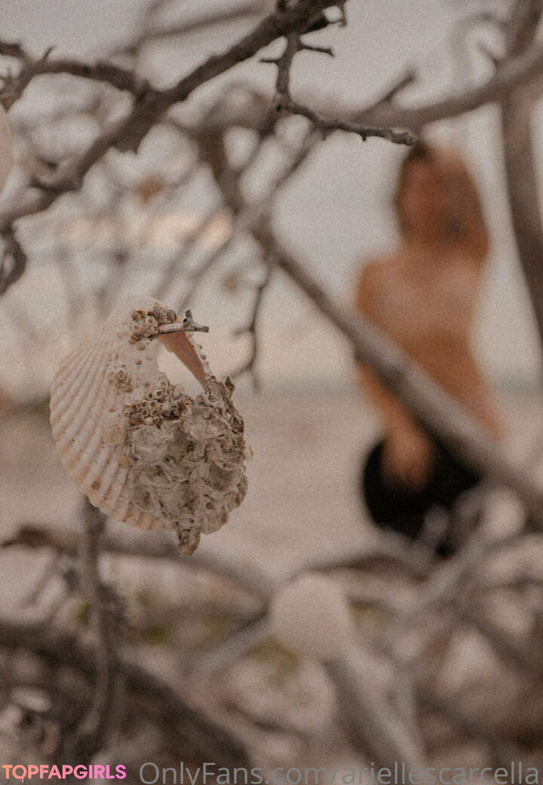 Foto desnuda filtrada de OnlyFans de Ariellescarcella #117 Foto desnuda filtrada de OnlyFans de Ariellescarcella #117