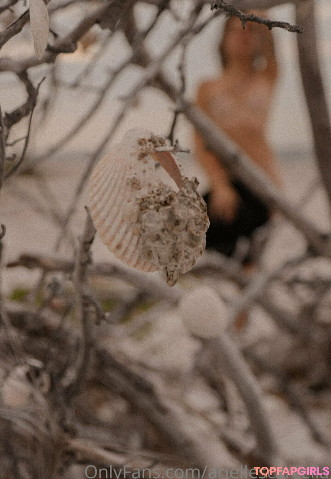 Foto desnuda filtrada de OnlyFans de Ariellescarcella #118 Foto desnuda filtrada de OnlyFans de Ariellescarcella #118