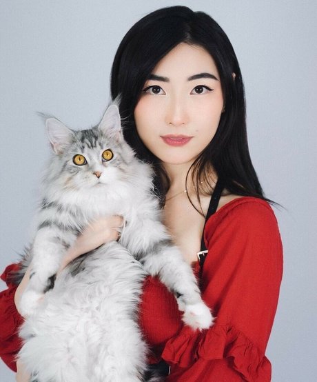 XChocobars