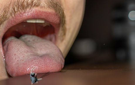 Macrocole