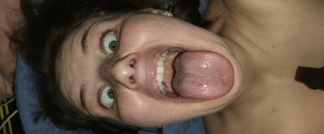 Lucylumid