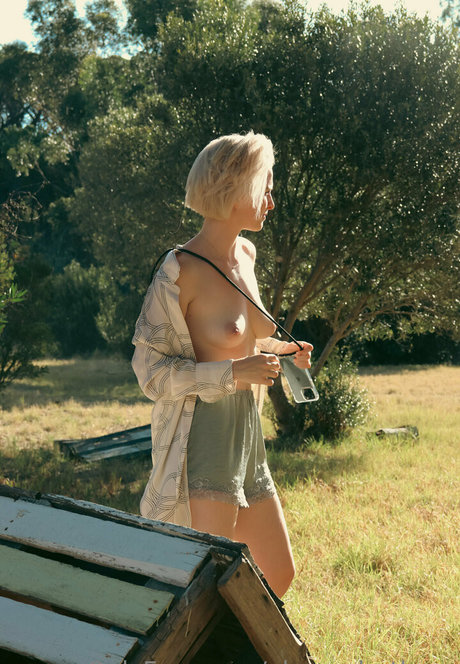 Alexandrathorn