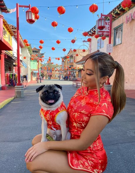Vmynguyen