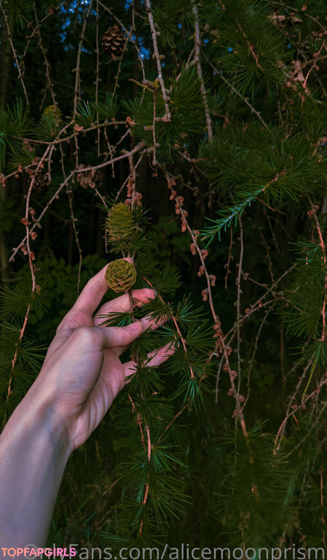 Foto desnuda filtrada de OnlyFans de Alicemoonprism #6 Foto desnuda filtrada de OnlyFans de Alicemoonprism #6