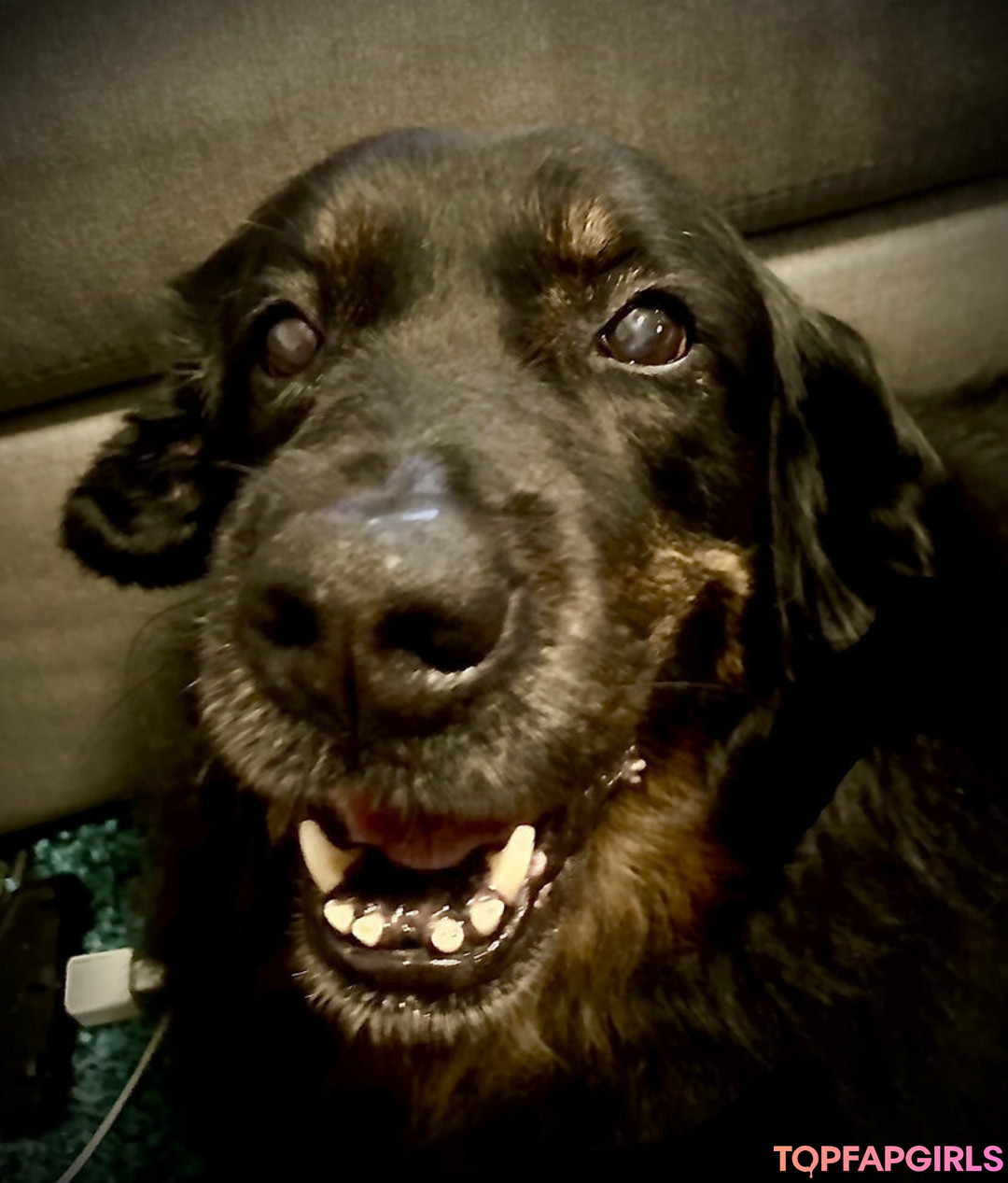 Foto desnuda filtrada de OnlyFans de Maggiegreenlive #164 Foto desnuda filtrada de OnlyFans de Maggiegreenlive #164