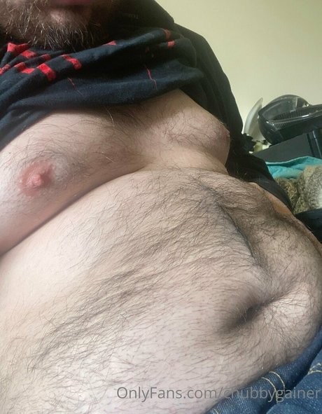 Chubbygainer