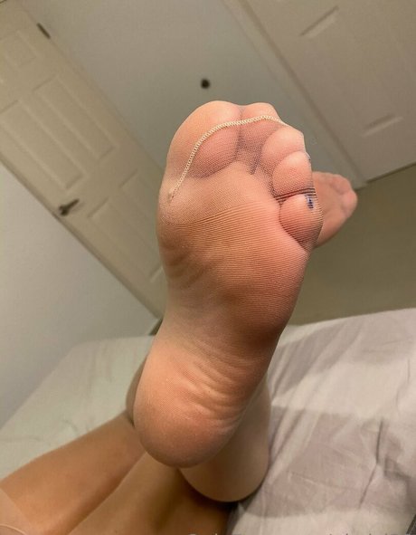 Pkelsi22