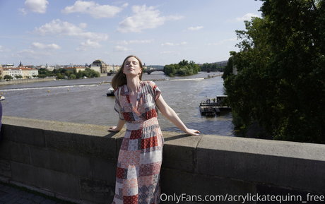 Acrylickatequinn_free