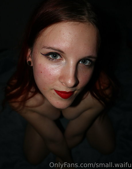 Smallwaifu