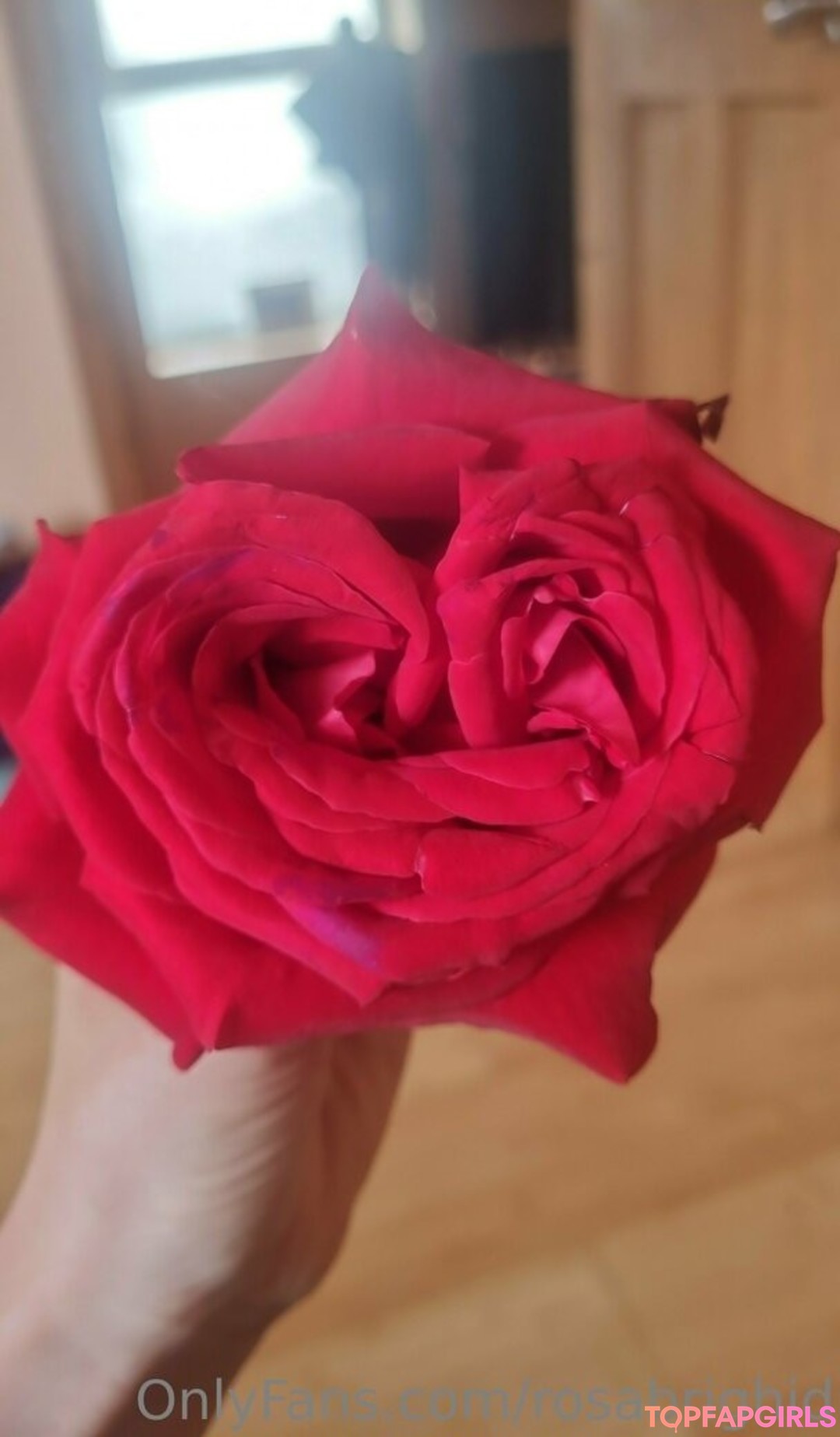 Foto desnuda filtrada de OnlyFans de Rosabrighid #237 Foto desnuda filtrada de OnlyFans de Rosabrighid #237