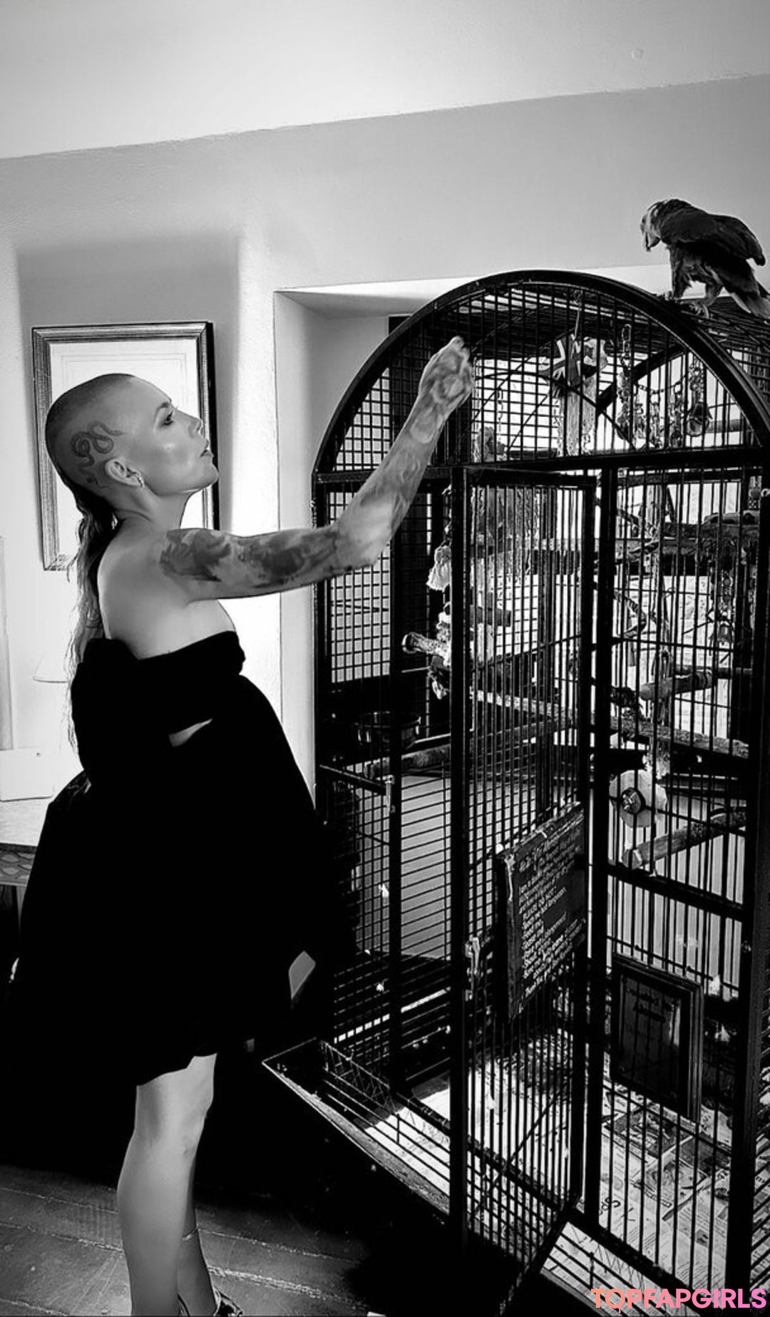 Foto desnuda filtrada de OnlyFans de Skylar Grey #108 Foto desnuda filtrada de OnlyFans de Skylar Grey #108