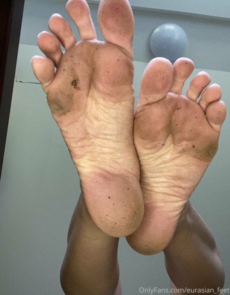 Eurasian_feet