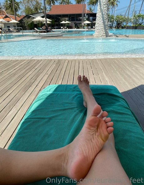 Eurasian_feet