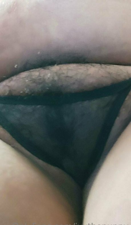 Ivythepuppy