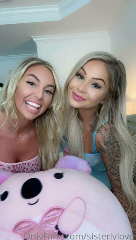 Wydstepsissy