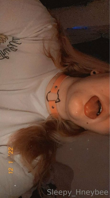Sleepy_hneybee