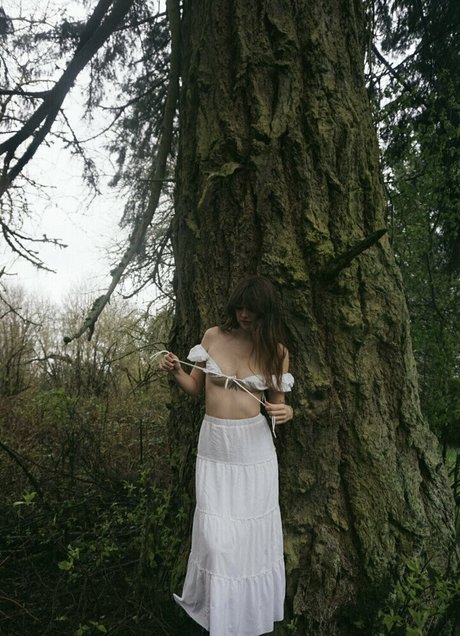 Acacia Kersey