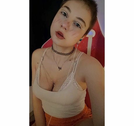 Yankimesta