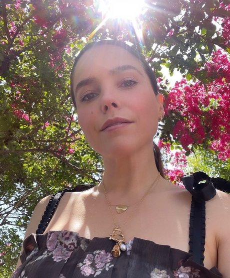 Foto desnuda filtrada de OnlyFans de Sophia Bush
