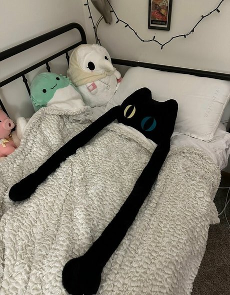 Foto desnuda filtrada de OnlyFans de Sleepyraccoon
