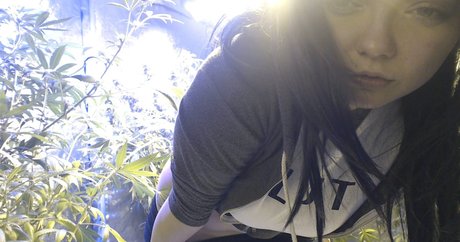 Soyacide