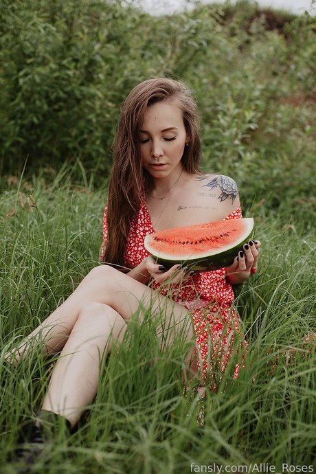Allie roses