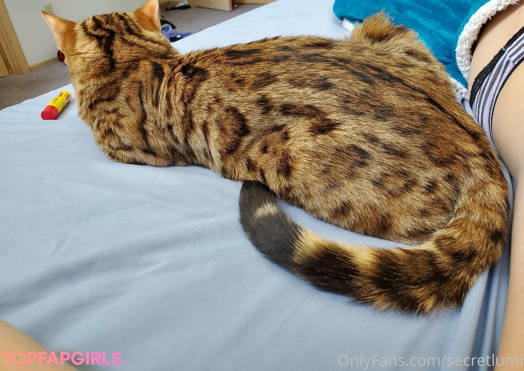 Foto desnuda filtrada de OnlyFans de Secretlumi #96 Foto desnuda filtrada de OnlyFans de Secretlumi #96