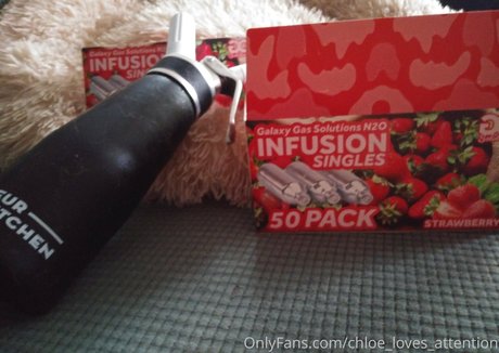 Chloe_loves_attention