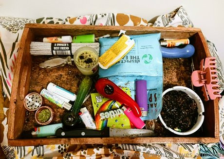 Chloe_loves_attention