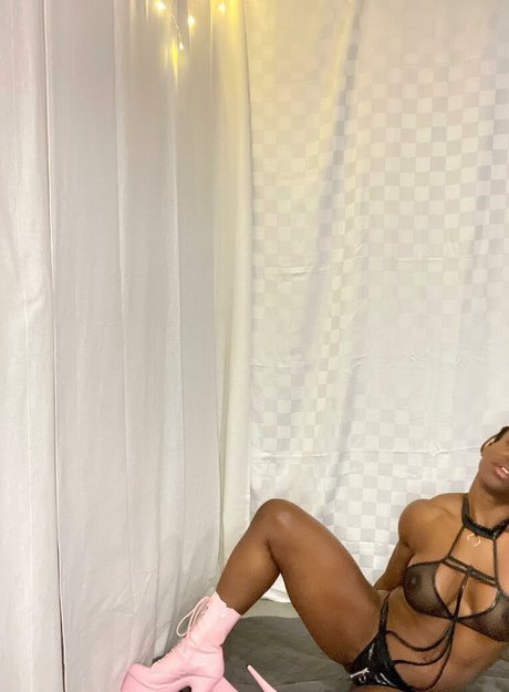 Terra Olivia VIP