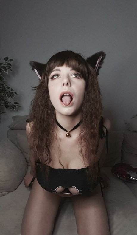 Bobacorecos