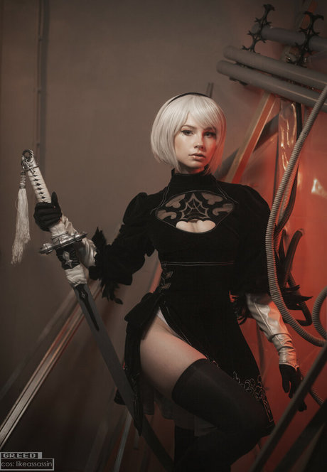 Likeassassin