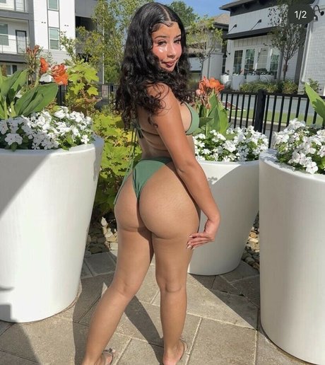 Foreignkattt
