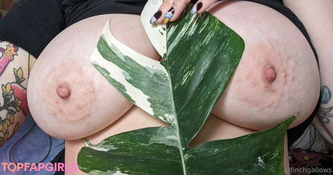 Foto desnuda filtrada de OnlyFans de Finchgallows #632 Foto desnuda filtrada de OnlyFans de Finchgallows #632