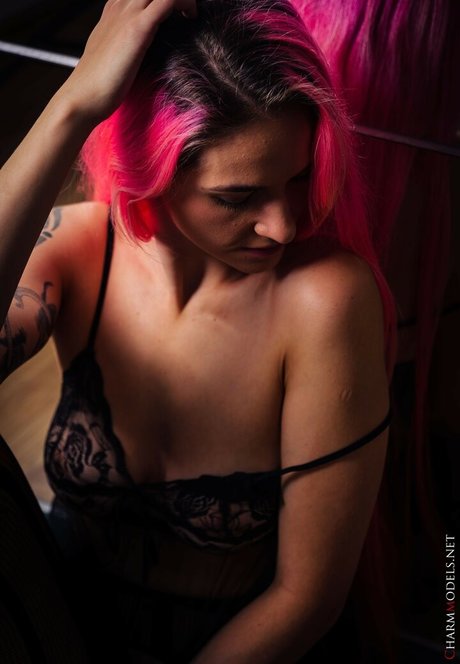 Charmmodels