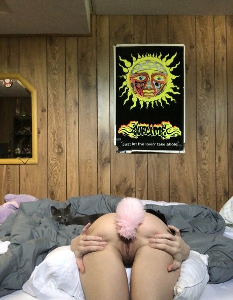Cummysox