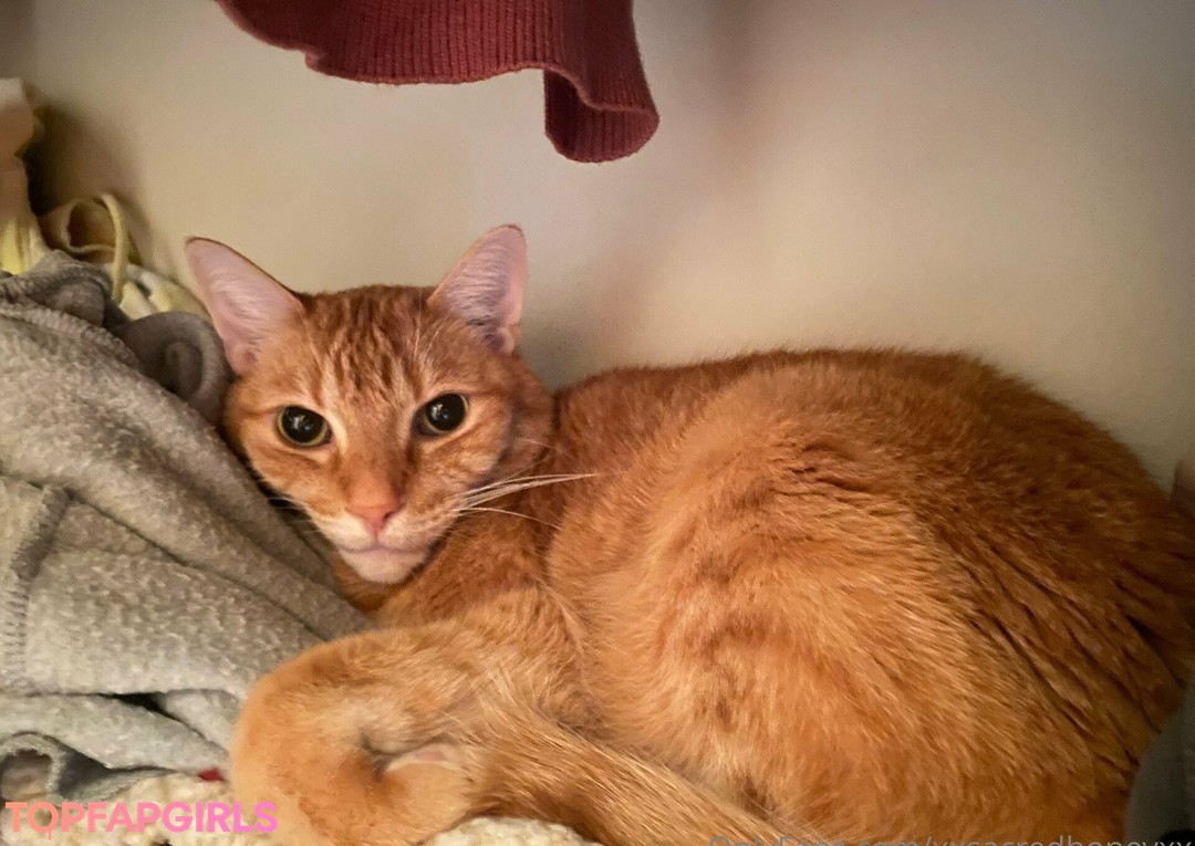 Foto desnuda filtrada de OnlyFans de Xxsacredhoneyxx #29 Foto desnuda filtrada de OnlyFans de Xxsacredhoneyxx #29