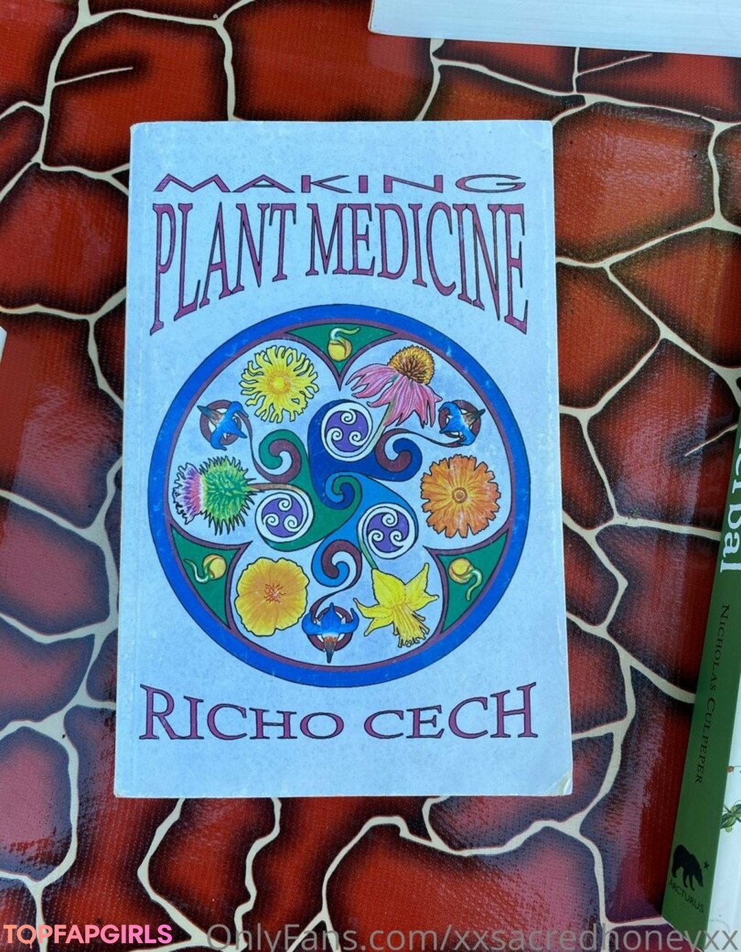 Foto desnuda filtrada de OnlyFans de Xxsacredhoneyxx #32 Foto desnuda filtrada de OnlyFans de Xxsacredhoneyxx #32