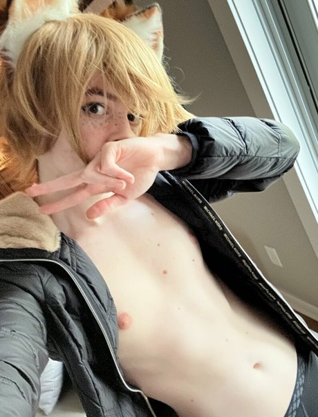 Catboiaoi