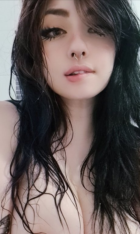 Jasminfoxe