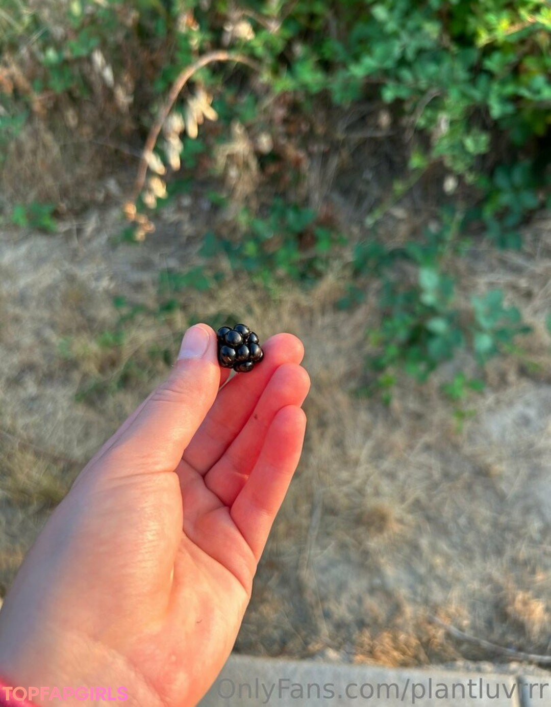 Foto desnuda filtrada de OnlyFans de Plantluvrrr #211 Foto desnuda filtrada de OnlyFans de Plantluvrrr #211