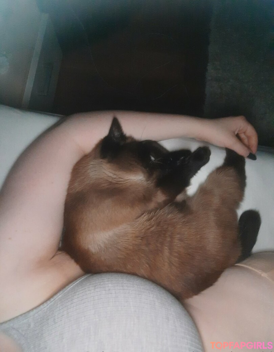 Foto desnuda filtrada de OnlyFans de Missmeismaid #72 Foto desnuda filtrada de OnlyFans de Missmeismaid #72