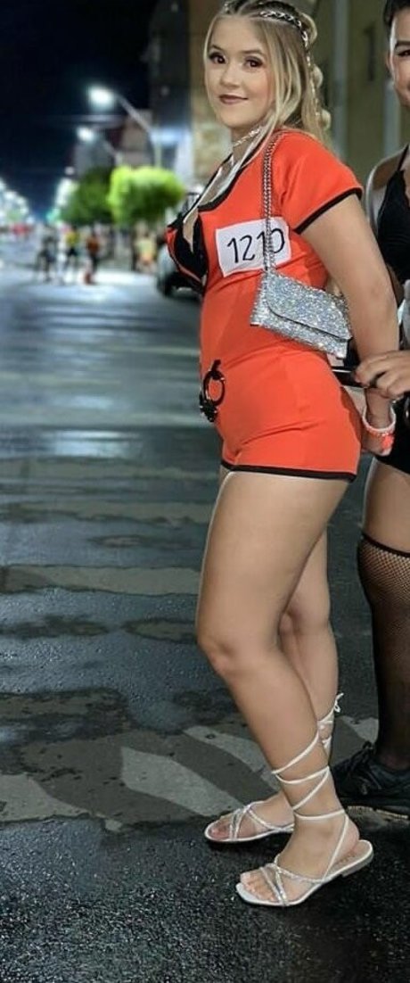 Laurinhafeer