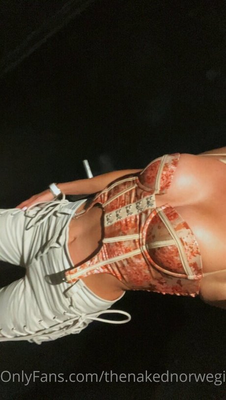 Thenakednorwegian