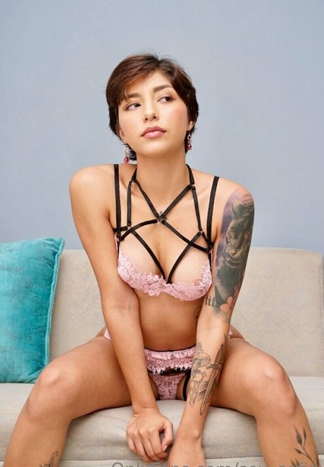 Soysofia