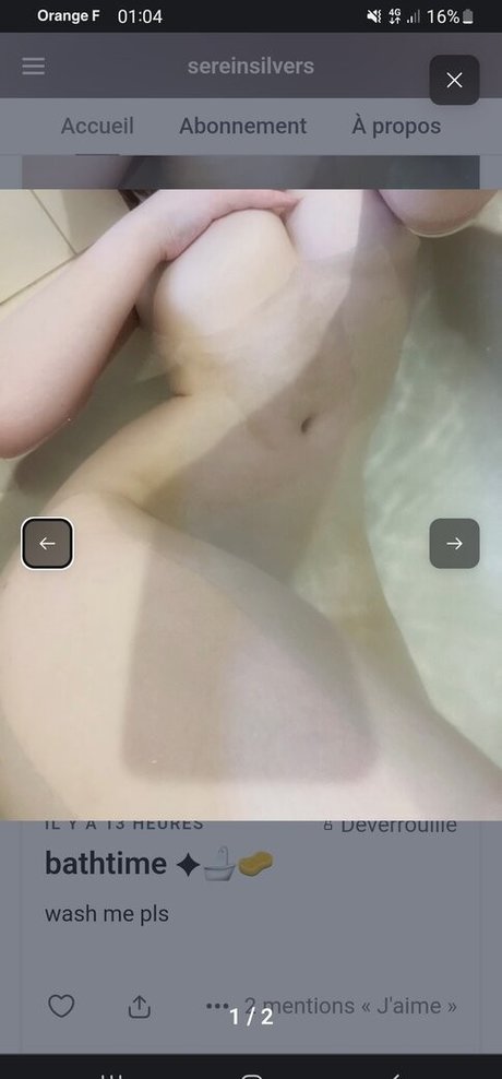 Leak Sereinsilvers