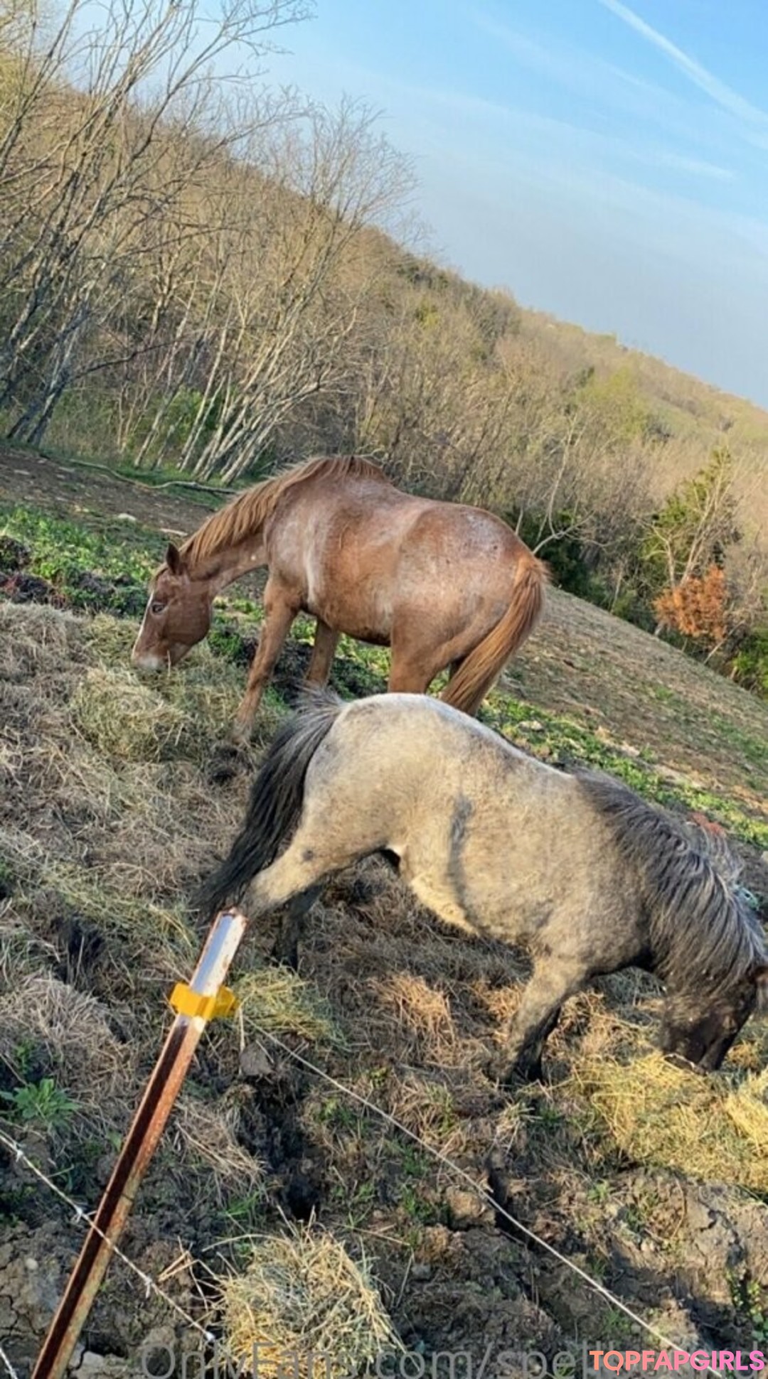 Foto desnuda filtrada de OnlyFans de Spellbound #65 Foto desnuda filtrada de OnlyFans de Spellbound #65