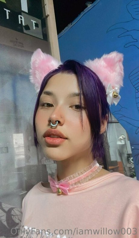 Foto desnuda filtrada de OnlyFans de Iamwillow003
