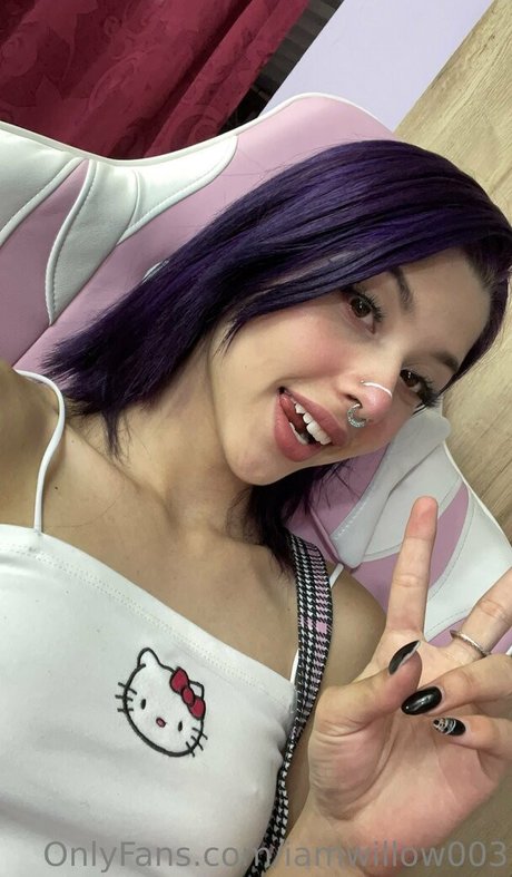 Foto desnuda filtrada de OnlyFans de Iamwillow003